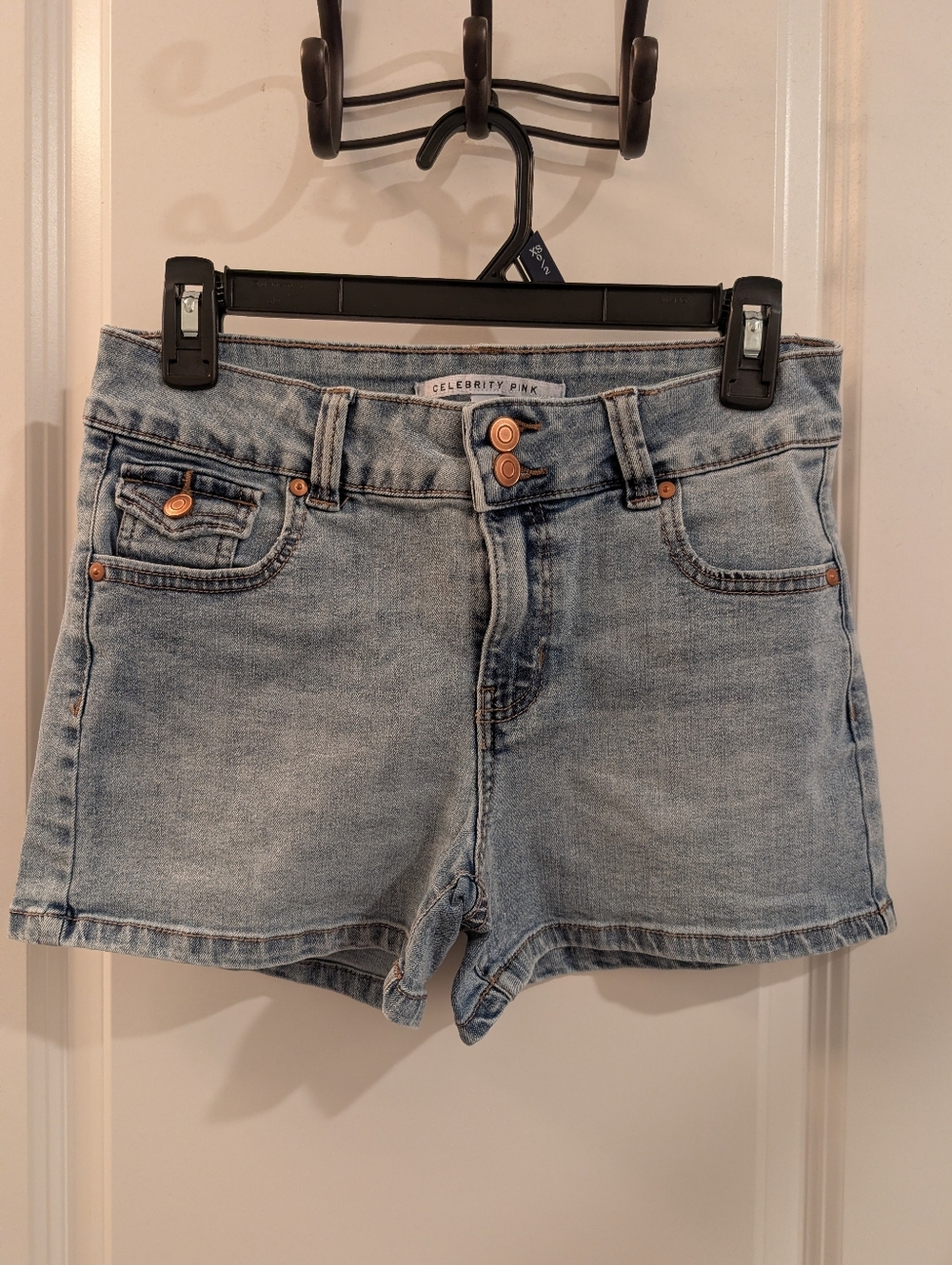 Celebrity Pink Denim Shorts